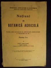 Notiuni de botanica agricola - Ion Anganu 1936 foto