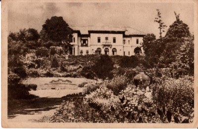 Catre postala ilustrata Bucuresti - Palatul Pionierilor foto