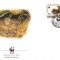 WWF FDC 1991Ttristan da Cunha complet serie pasari - 4 buc. FDC