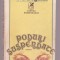 C.I. Bogdan - Poduri suspendate