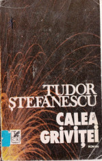 CALEA GRIVITEI de TUDOR STEFANESCU foto