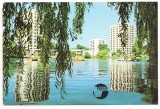 carte postala(ilustrata)-LITORALUL MARII NEGRE