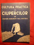 P.Dimitriu -Cultura Practica a Ciupercilor- ed. interbelica, Alta editura