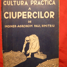 P.Dimitriu -Cultura Practica a Ciupercilor- ed. interbelica