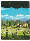 carte postala(ilustrata)-TIMISUL DE SUS-vedere