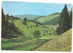 carte postala(ilustrata)-SUCEAVA -Iacobeni foto