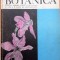 BOTANICA - N. Salageanu, Tr. Tretiu, M. Baldovin
