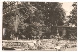 carte postala(ilustrata)-BUZIAS-vedere din parc