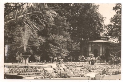 carte postala(ilustrata)-BUZIAS-vedere din parc foto