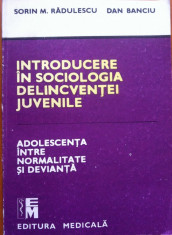 INTRODUCERE IN SOCIOLOGIA DELINCVENTEI JUVENILE - Sorin M. Radulescu, Dan Banciu foto