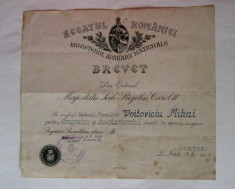 Brevet pt Insigna Pregatire Premilitara cls a III - a , model Carol 2 , dat la Arad in 1937 !! foto