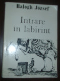 BALOGH JOZSEF - INTRARE IN LABIRINT (VERSURI, editia princeps - 1987) [coperta de TUDOR JEBELEANU], Alta editura