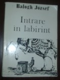 BALOGH JOZSEF - INTRARE IN LABIRINT (VERSURI, editia princeps - 1987) [coperta de TUDOR JEBELEANU]
