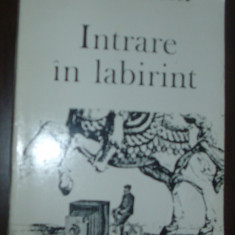 BALOGH JOZSEF - INTRARE IN LABIRINT (VERSURI, editia princeps - 1987) [coperta de TUDOR JEBELEANU]