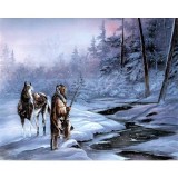 Poster - Indian forest winter 33,02 - 48,26