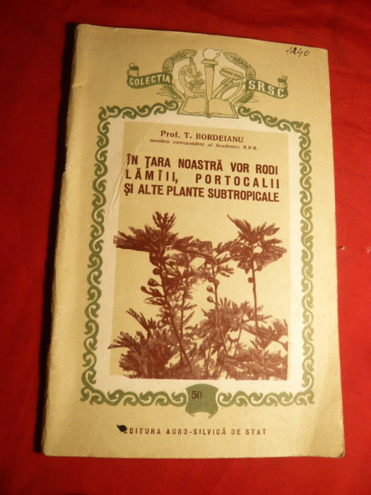 Prof.T.Bordeianu- Lamai ,Portocali ,Plante Subtropicale in Romania 1955