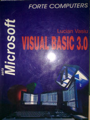 Lucian Vasiu - Visual basic 3.0 foto