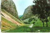CPI (B3118) MUNTII APUSENI. CHEILE VALISOAREI, EDITURA MERIDIANE, NECIRCULATA