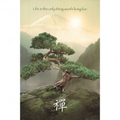 Poster - ZEN MOUNTAIN 60,96x 91,44