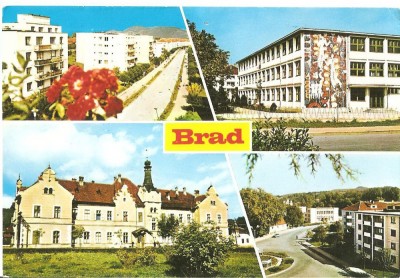 CPI (B3109) BRAD. ( JUDETUL HUNEDOARA ), MOZAIC, EDITURA MERIDIANE, NECIRCULATA foto