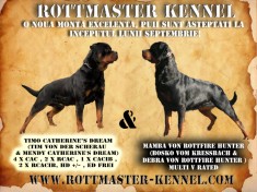 Canisa Rottmaster vinde pui rottweiler de calitate foto