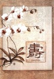 Poster - LONG LIFE 33,02x48,26