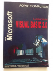 VISUAL BASIC 3.0 - LUCIAN VASIU foto