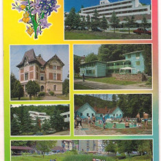 carte postala(ilustrata)-ARAD--Moneasa