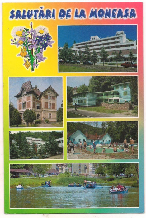 carte postala(ilustrata)-ARAD--Moneasa