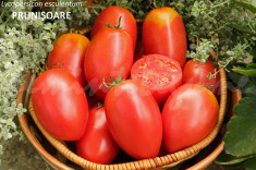 Seminte tomate romanesti - PRUNISOARE DE FAGARAS - 30 seminte/plic foto