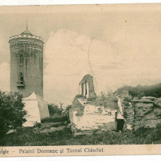1066 - TARGOVISTE, Dambovita, turnul Chindiei - old postcard - used - 1913