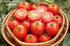 Seminte tomate - MATINA - 30 seminte/plic foto