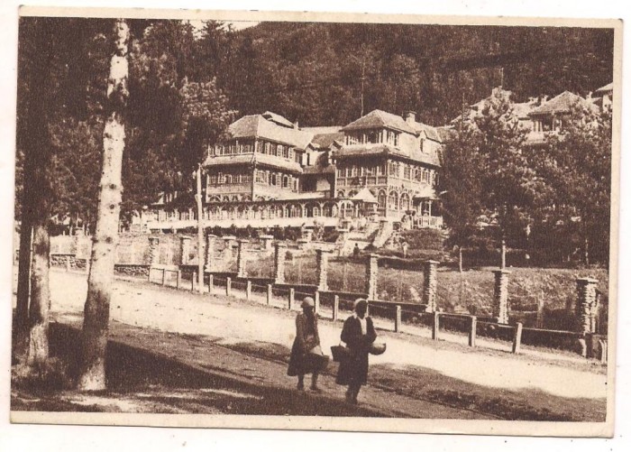 carte postala(ilustrata)-SOVATA