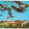 carte postala(ilustrata)-PREJMER-BRASOV-Cetatea