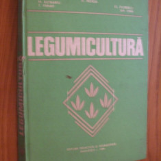 LEGUMICULTURA - H. Butnaru, T. Panait, D. Indrea - 1979, 349 p.