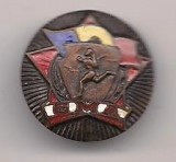 Insigna-G.M.A., Romania de la 1950