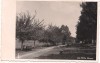Carte postala(ilustrata)-BAILE BAZNA -anul 1939, Necirculata