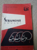 STRAMOSII OMULUI Olga Necrasov societatea raspandirea stiintei culturii 1961 RPR, Alta editura