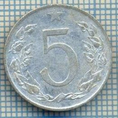 2162 MONEDA - CEHOSLOVACIA - 5 HALERU - anul 1954 -starea care se vede