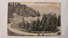 PVM - Ilustrata Muntele Prislop &amp;quot;Salutari din Maramures&amp;quot;, 1926, necirculata foto