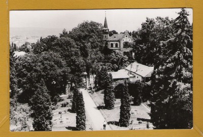 CLUJ GRADINA BOTANICA RPR (NR 1) foto