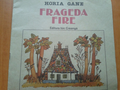 FRAGEDA FIRE - Horia Gane foto