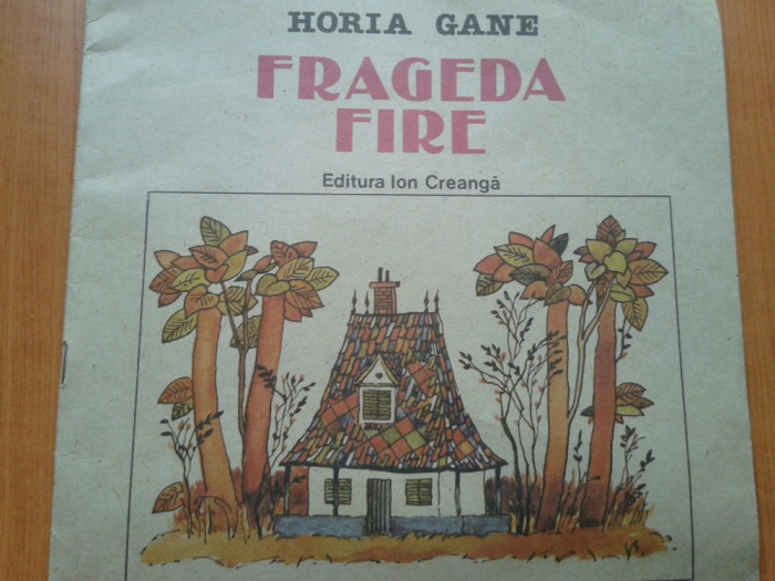 FRAGEDA FIRE - Horia Gane