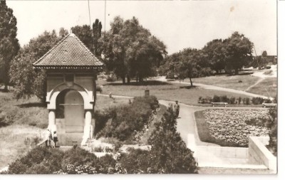 CPI (B2881) CRAIOVA, FANTANA JIANU DIN GRADINA BOTANICA, EDITURA MERIDIANE, CIRCULATA, STAMPILA, TIMBRU foto