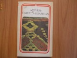 h2 Aesthesis - Carpato-dunarean