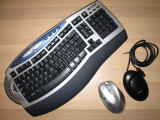 Kit Tastatura Microsoft Wireless Photo, Fara fir