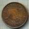 2577 MONEDA - AUSTRALIA - HALF PENNY - anul 1948 -starea care se vede