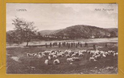 LIPOVA ARAD APROX 1925 (B) foto