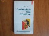 h2 Andrei Cornea - Cuvintelnic fara frontiere