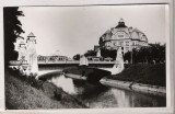 TIMISOARA 1947 (B), Necirculata, Fotografie